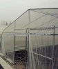 Film Tunnel Greenhouse Agriculture