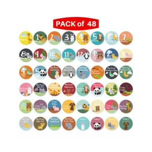 First 5 Years Baby 48 Pack Monthly, Holidays, Events and Yearly Milestones Stickers (48 Pack Stickers -Monthly &amp; First 5 Years)
