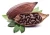 Import food ingredients cocoa powder, natural cocoa powder from China