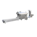 Food processing line capacity 300kg dried fruit roasting machine