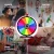 Import Fortun Image Fortune Board Game 12 Inch Prize Wheel from China