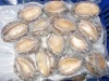 fresh frozen abalone meat shellfish