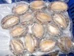 fresh frozen abalone meat shellfish