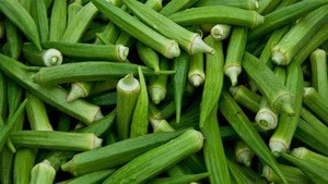 Fresh Okra Fresh Lady Finger Okra Organic Fresh Okra From Germany Tradewheel Com