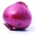 Import FRESH ONIONS/RED ONIONS/YELLOW ONIONS BUYERS from China