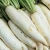 Import Fresh Radish Exporter and Supplier from India from India
