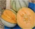 Import fresh sweet melon from khair egypt from Egypt