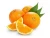 Import Fresh Tangerine Fruit Cheap Price from Egypt from Egypt