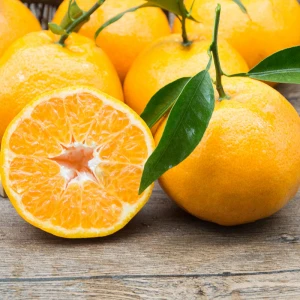 fresh Valencia orange and Mandrin oranges, Citrus from China, Ready to export season 2020