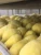 Import Frozen Durian Fruit Thailand from Thailand