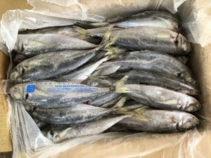 Frozen seafood Horse Mackerel Fish Suppliers