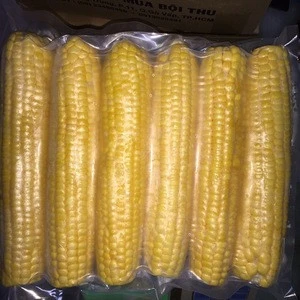 Premium Quality Frozen Sweet Kernel Corn From Vietnam