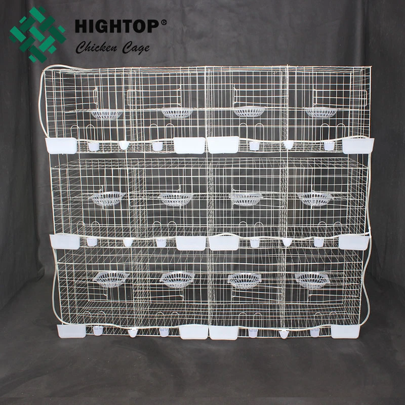 galvanized metal wire mesh pigeon breeding cage for sale in philippines