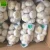 Import Garlic Chinese fresh normal white garlic small package 3P 5P mesh bag in carton fresh garlic from China