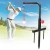 Import Golf Swing Trainer Portable Indoor Golf Swing Traing Device from China