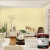 Import Good quality audio amp receiver home use professional power asian interior wall paint from China