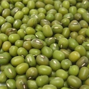 Green mung beans,Mung Beans,Vigna beans