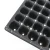 Greenhouse Plastic Sprouting Ps Seed Tray