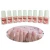 Import Guangzhou 7ml Mini Strong Adhesive Fake Acrylic False Nail Tip Glue for Manicure Decoration with Brush inside from China