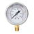 Import high quality 60mm 0-6bar 0-25bar 0-1.6mpa ss304 shell brass connection water pressure gauge from China