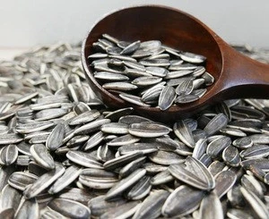 High quality bigger size sunflower seeds with shell
