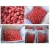 Import High quality frozen whole fruit or diced strawberries Packed in 10 kg carton bag from Egypt