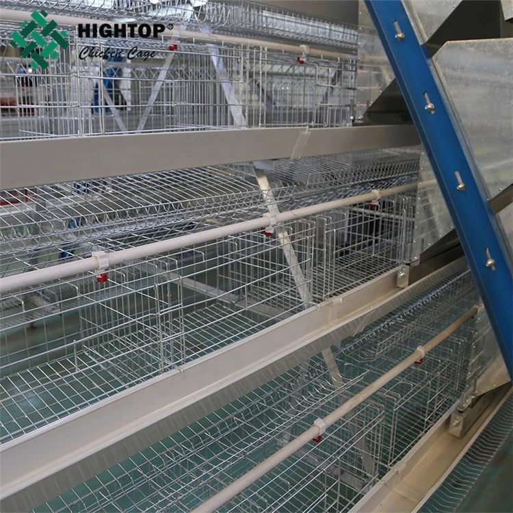 High quality Great farm layer egg  A types chicken cage/poultry farm house design