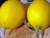 Import High Quality Green and Yellow lemon/ fresh lime/ fresh fruits from SA from South Africa
