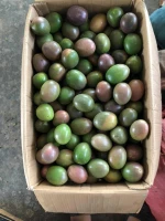 High Quality Sweet Fresh Passion Fruit