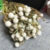 High quality unfading preserved foliage coral fruit leaf for home decoration
