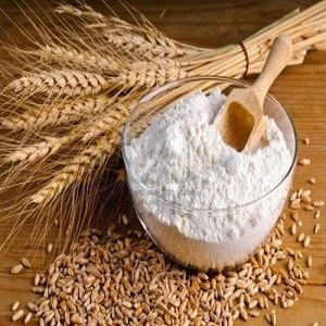 High Quality Wheat Flour for Bread Noodle Flour Bread Flour