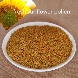 High Refined Pure Natural fresh Sunflower Pollen
