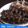 HL011 Hot sale Nutritious sea cucumber in the philippines