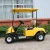 Import Hot Sale 2 person electric mini golf cart from China
