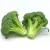 Import Hot Sale Fresh Broccoli With Lower Price from South Africa