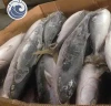 Hot Sale Frozen Yellow Tail Scad Fish Mackerel Seafood