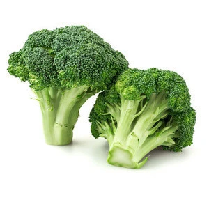 Hot-sale grade A fresh organic vegetables frozen broccoli