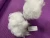 Import Hot sell 0.8D *32mm  micro silicon polyester staple  fiber for filling from China