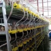 hot selling and good quality quail breeding cages