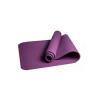 Hot Selling Cheap Anti-slip Fitness Body Building TPE  Yoga Mat For Gym Exercise