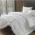 Import hotel use  100% cotton quilt cover goose down duvet from China