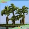 indoor large outdoor bonsai trees artificial bottle coconut palm coconut plant nursery types of ornamental plants