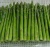 Import IQF frozen asparagus with good price from China