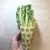 Kiwifruit Printed Organic Reusable Beeswax Wrap Food Storage
