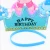 Import LED glowing birthday hat kids adult  happy birthday hat prince princess LED birthday hat from China