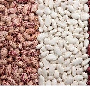 Lima Beans, white broad bean