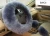 Import Luxury car accessories real sheepskin 100% wool furry fur steering wheel cover from China