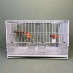making factory of metal wire bird cage with plexiglass folding bird cage