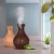 Import Manufacturer Direct Vase Wood Grain Humidifier Portable Home USB Car Humidifier Colorful Night Light Air Purifier Humidifier from China