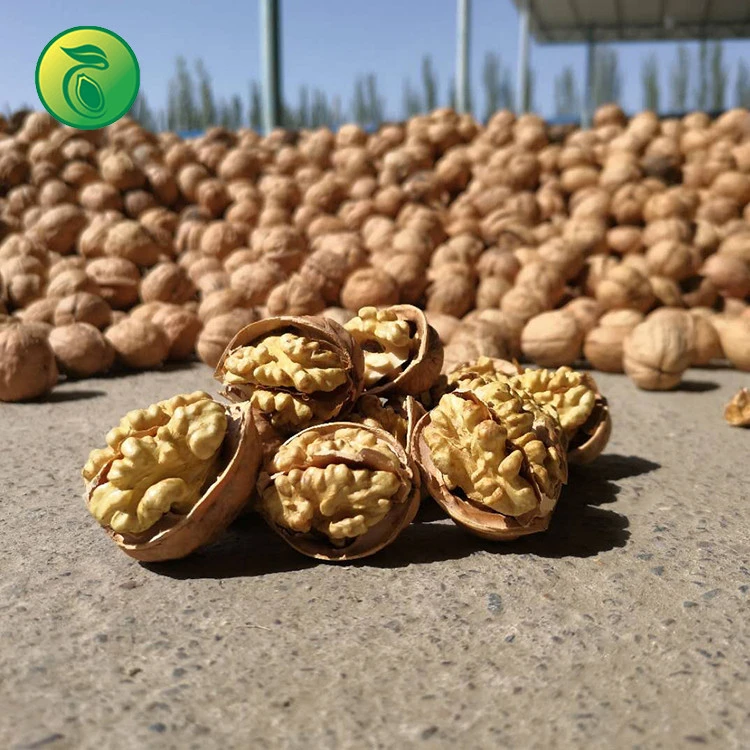 Massive Walnut Halves Manufacturer Dry Fruit Price Of Walnuts